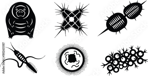 Microorganisms and microscopic life forms vector illustration showing diverse bacteria and protozoa shapes and structures 