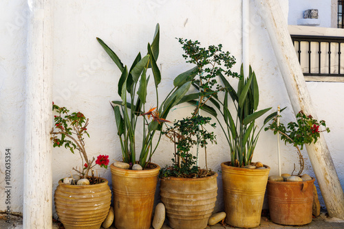 Fototapeta Naklejka Na Ścianę i Meble -  Mediterranean decor. Different kind of plants and flowers in the terracotta pots. Traditional decoration of old villages in Greece. Flower pot of various shapes and sizes on stairs in the street.