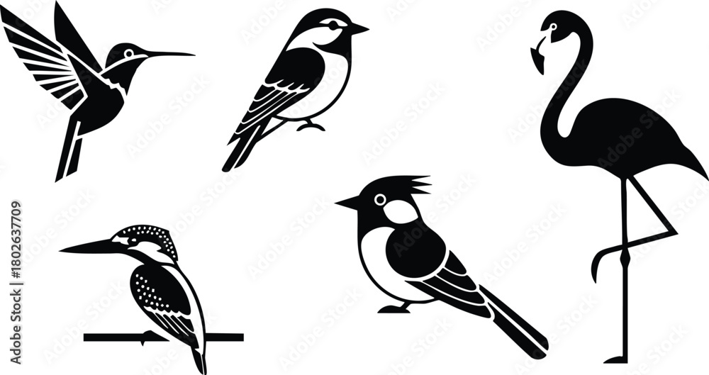 Fototapeta premium Silhouette vector set of five different bird species including hummingbird, sparrow, flamingo, kingfisher, and crested bird in black and white 