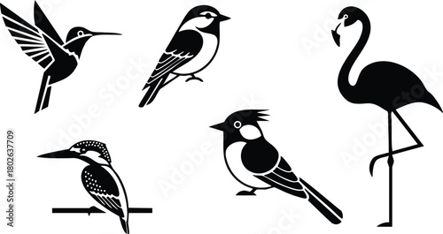 Silhouette vector set of five different bird species including hummingbird, sparrow, flamingo, kingfisher, and crested bird in black and white 