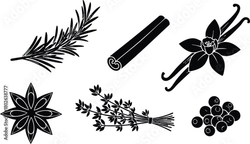 Collection of Various Herbs and Spices Including Star Anise Cinnamon Vanilla and Juniper Berries Vector Illustration 