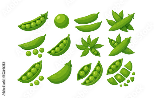 Green peas collection with pods and seeds on white background