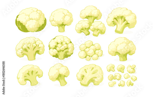 Collection of fresh cauliflower variations in flat style design