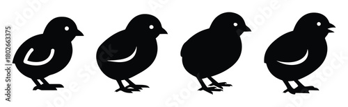 chick shadow Easter silhouette art, black color and white background