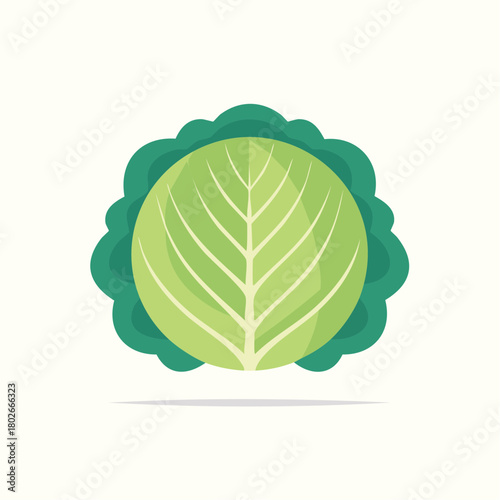 Chou stylisé vectoriel isolé