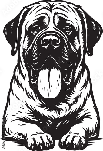 cute english mastiff dog
