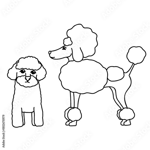 Hand drawn vector doodle set with cute maltipoo and poodle dogs