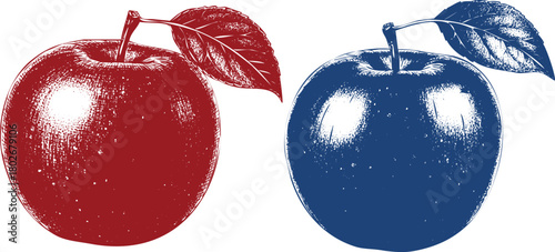 Red and Blue Apple Illustrations with Leaves on White Background fruit drawing