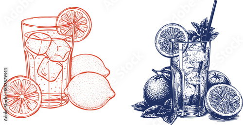 Two Hand Drawn Refreshing Citrus Drinks with Ice and Fruit Slices on White beverage refreshment