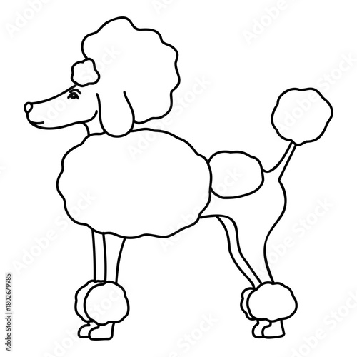 Hand drawn vector doodle with gorgeous poodle dog