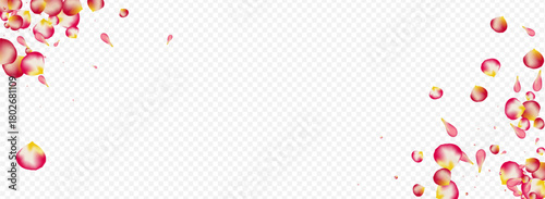 Petal_Vortex_Flying_Vector_Transparent_Background_110.eps