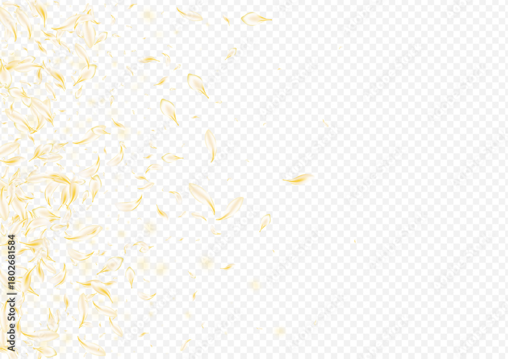 Fototapeta premium Yellow_petals_transparent_background_368.eps