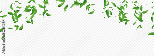 3360X1225pan1-08__leif_7_01.eps