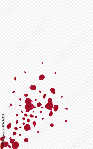 Red_Rose_Petal_Transparent_Background_210.eps
