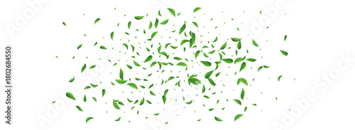Leaves_Vortex_Flying_Vector_Background_192.eps
