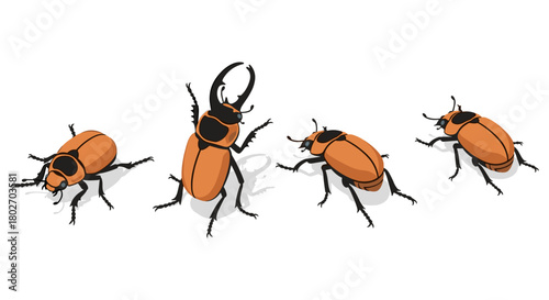 Various poses of orange beetles with horns on white background