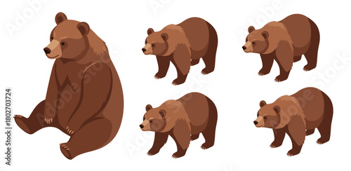 Isometric brown bear illustrations in various poses on white background