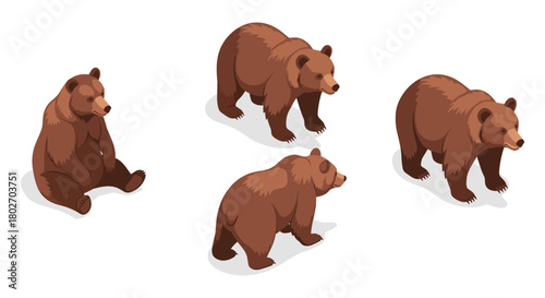 Isometric brown bears set featuring various poses on white background