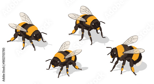 Isometric bumblebee collection on white background