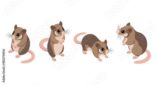 Isometric cute cartoon mice set on white background