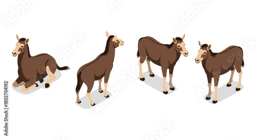 Isometric illustrations of mules in various poses on white background