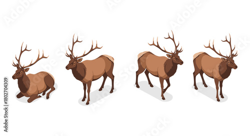 Majestic elk collection with varied poses in detailed design
