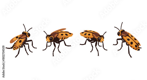 Diverse views of spotted ladybugs in flat design on white background