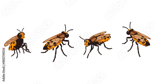 Detailed bee set on white background: multiple angles and poses