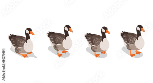 Isometric geese in a row on white background: wildlife design trend