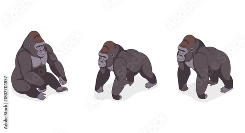 Isometric gorilla poses: sitting, walking, and smiling on white background