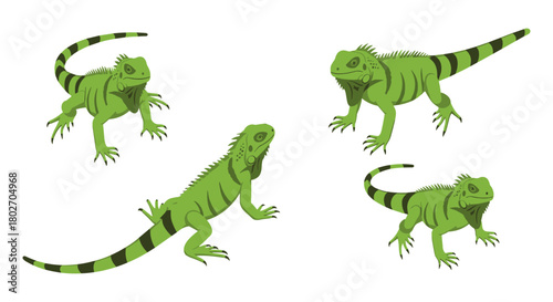 Green iguanas on white background: wildlife reptile design