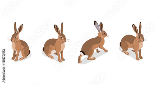 Isometric rabbits in various poses on white background