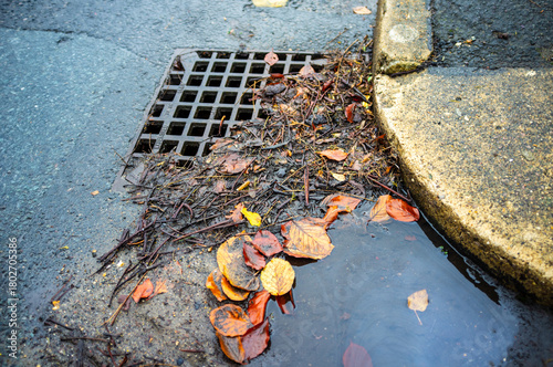 Storm drain partially blocked by wet autumn leaves and water pooling at street edge