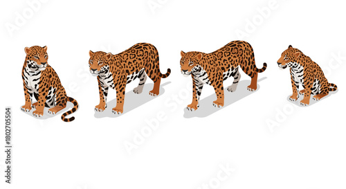 Isometric leopard set: diverse poses of majestic leopard in detailed design