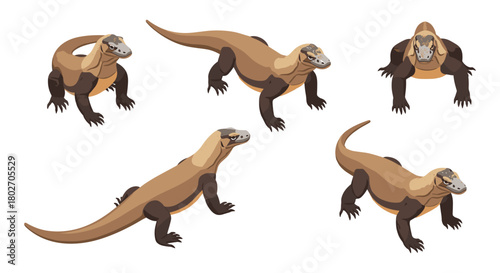 Isometric komodo dragons set on white background in various poses and angles