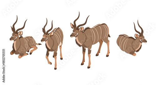 Elegant kudu antelope poses in flat style on white background