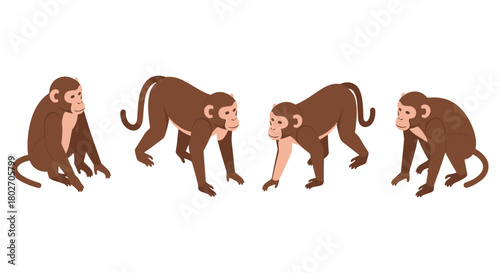 Playful monkey set: four cute cartoon monkey poses in a flat style