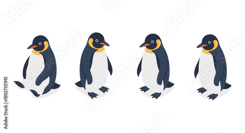 Cute flat style penguin cartoon set on white background