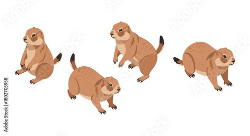 Isometric prairie dogs set on white background