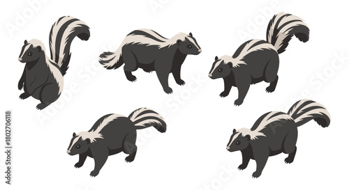 Set of skunks in various poses on white background
