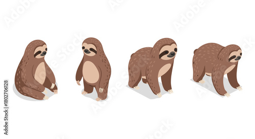 Isometric sloth poses set: adorable three-toed sloth in various positions