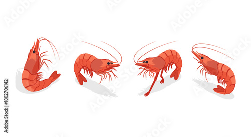 Realistic cartoon shrimps in various poses with shadows on white background