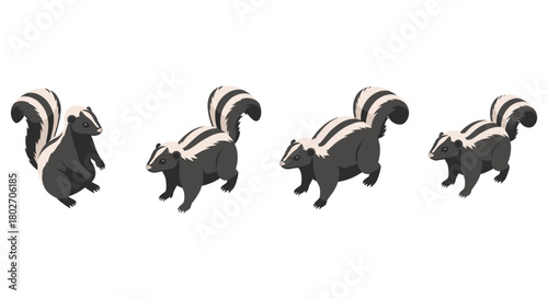 Isometric skunk set: various poses of cartoon skunks with bushy tails