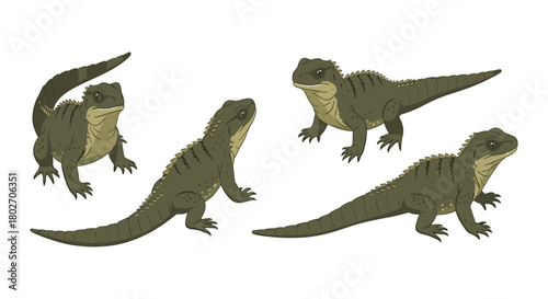 Detailed cartoon reptiles with unique features on white background