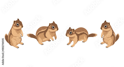 Cute chipmunks in various poses on white background