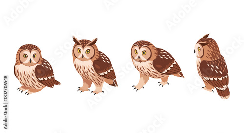 Charming owl collection: four adorable owls in diverse poses and angles