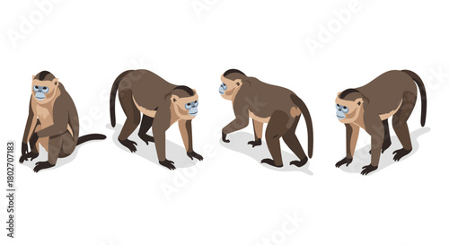 Isometric monkeys: playful primates in various poses against white background