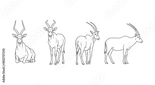 Elegant antelope silhouettes: linear animal designs for nature projects