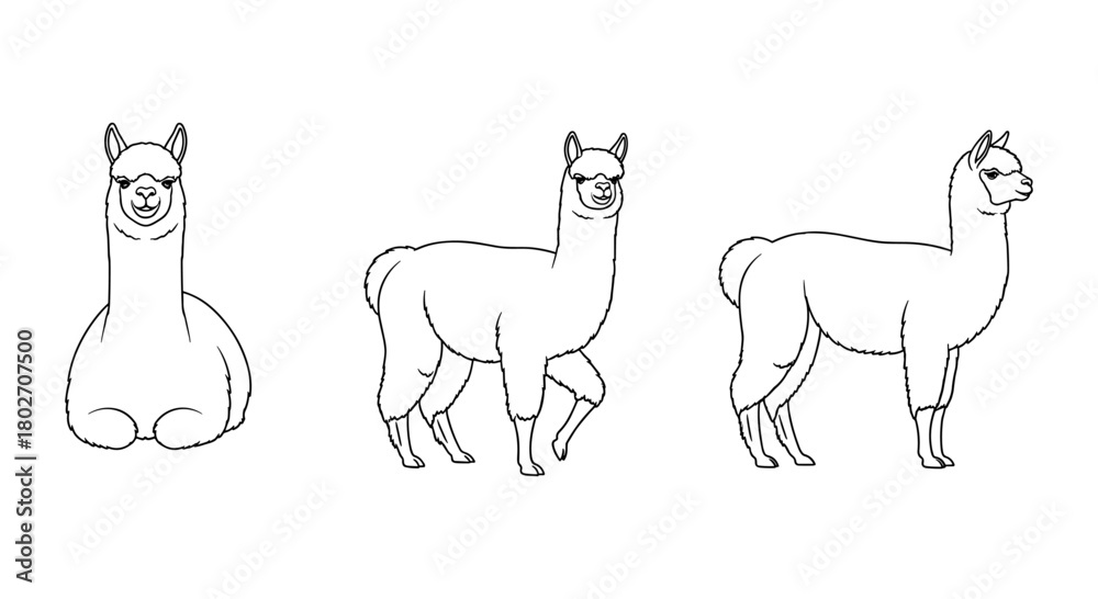Naklejka premium Cute alpacas vector set: three cartoon outlines in minimalist style