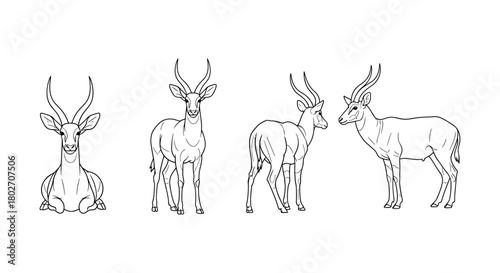 Kudu antelope line art collection with diverse poses